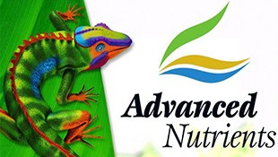 /blog/advanced-nutrients-obzor-produktsii/