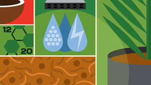 Особенности полива растений в кокосовом субстрате