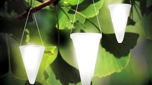 Как выбрать лампу для выращивания растений?