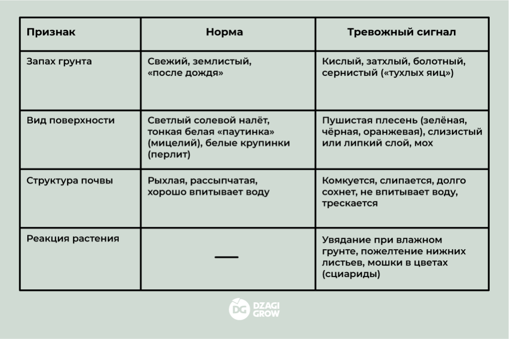 dg_диагностика_2 (1).png dg_диагностика_2 (1).png