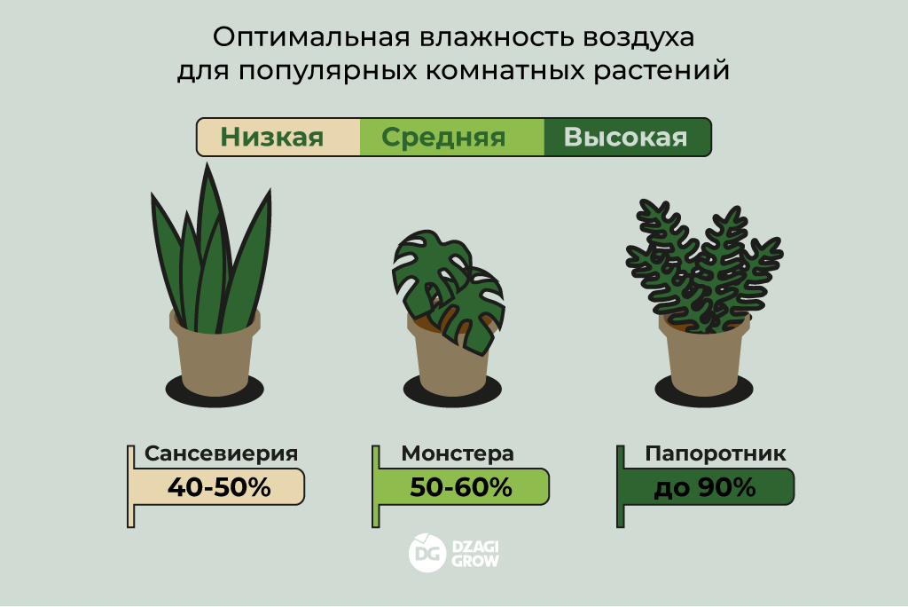 влажность_4.png