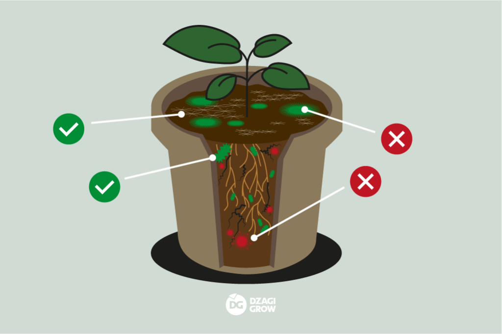 dg_диагностика_1 (1).png dg_диагностика_1 (1).png