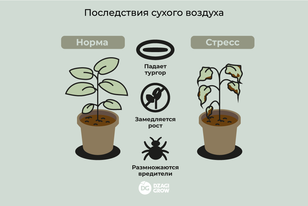 влажность_3.png