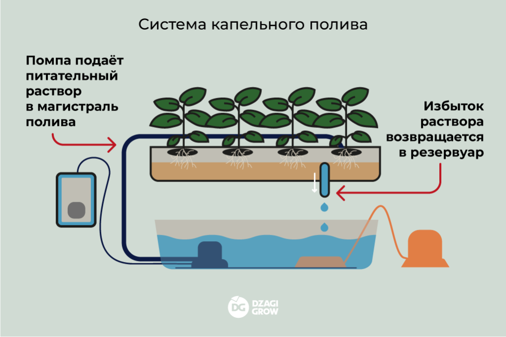 Система капельного полива