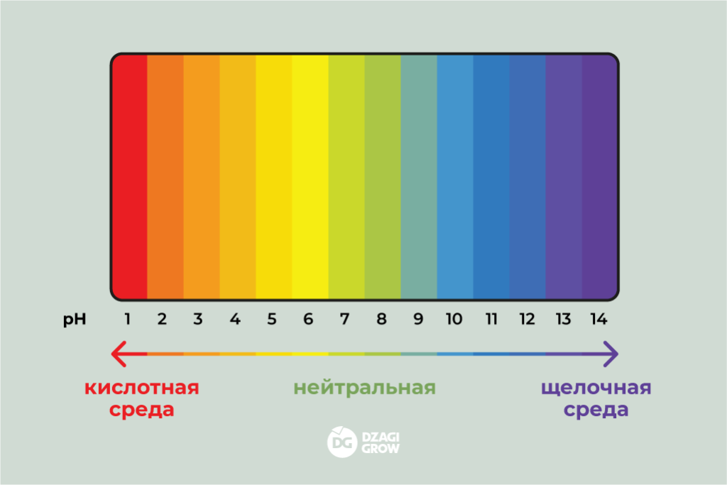 Физика в помощь_1.png Физика в помощь_1.png