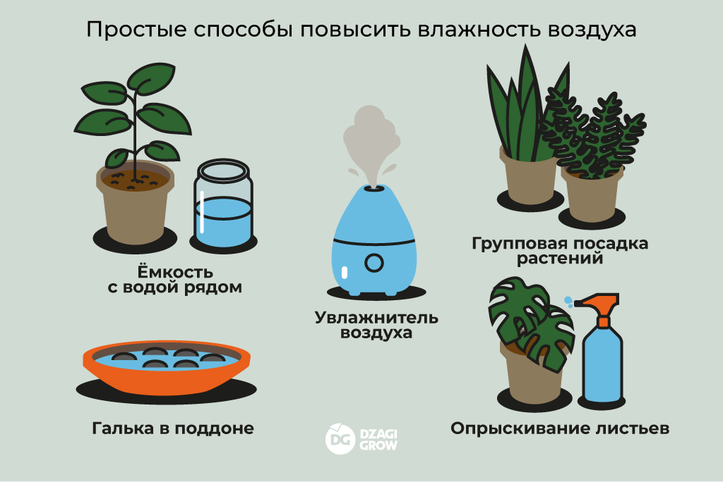 влажность_5.png