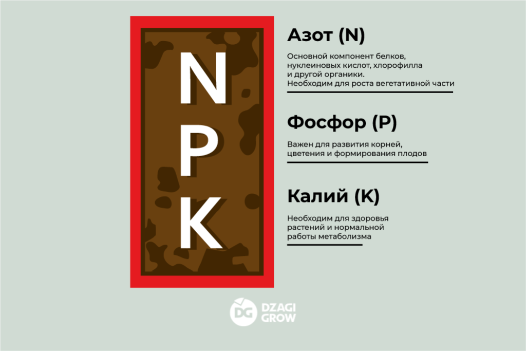 ил 4 (4).png