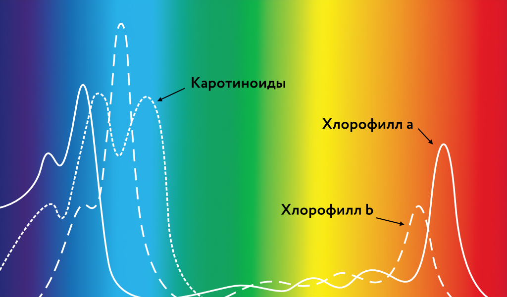 dg_blog_Спектры света1.jpg dg_blog_Спектры света1.jpg