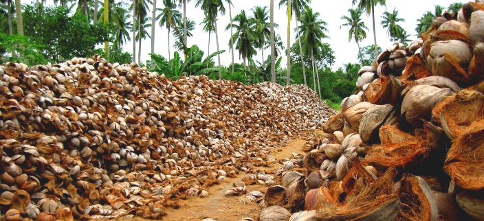 Преимущества кокосового субстрата