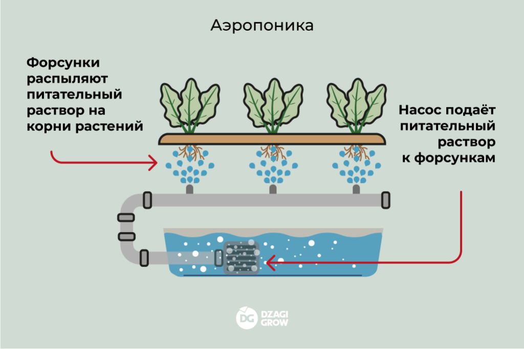 Аэропоника
