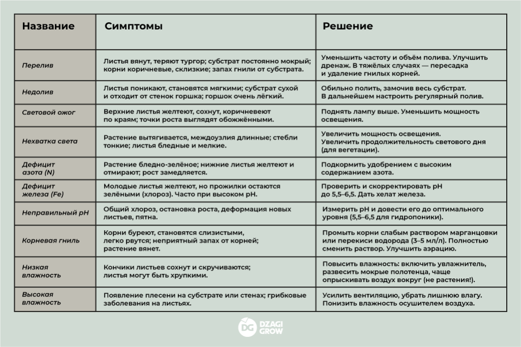 dg_правила начинающего сити-фермера.png