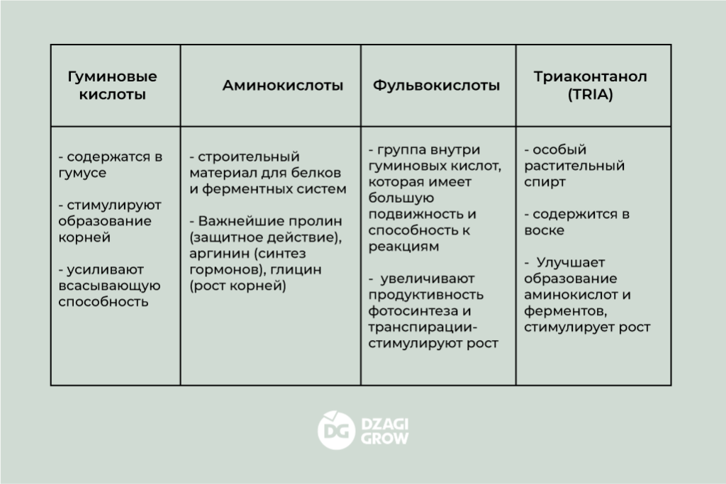 ил 4 (3).png