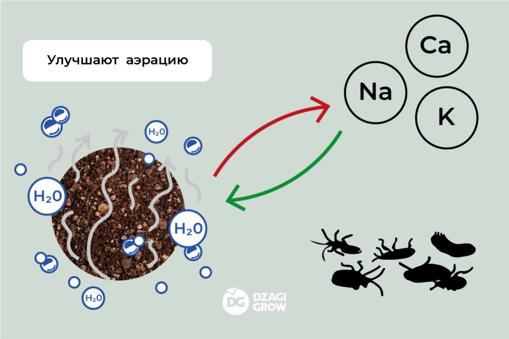 ил 4 (2) (1).png