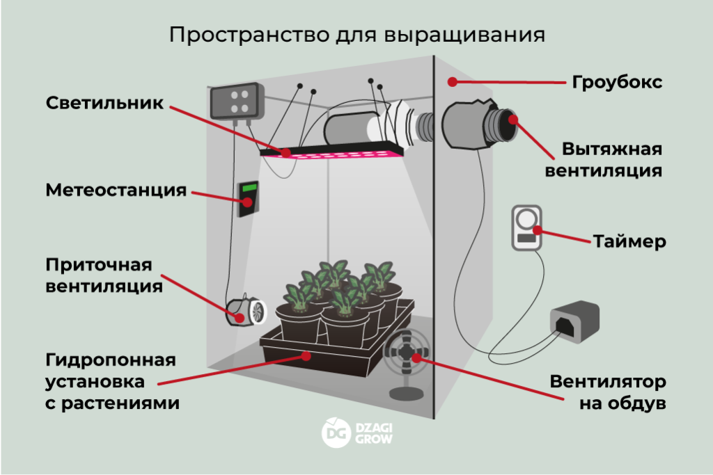 Пространство для выращивания