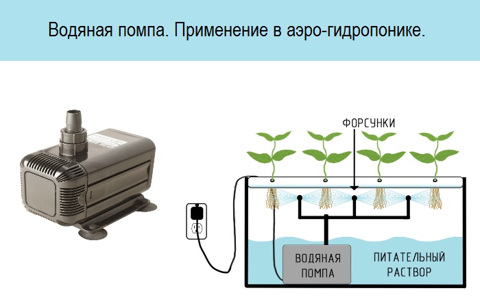 Оборудование для гидропоники: выращивание в домашних условиях