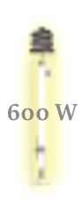 600w.png