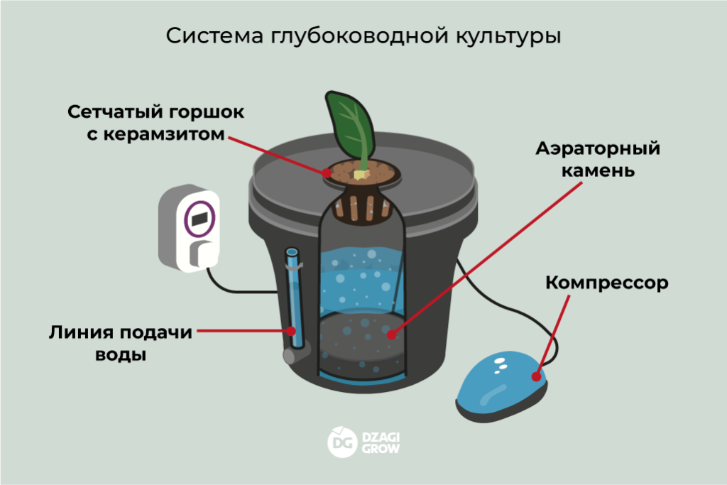 Система глубоководной культуры