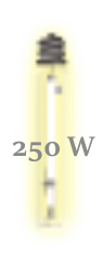 250w.png