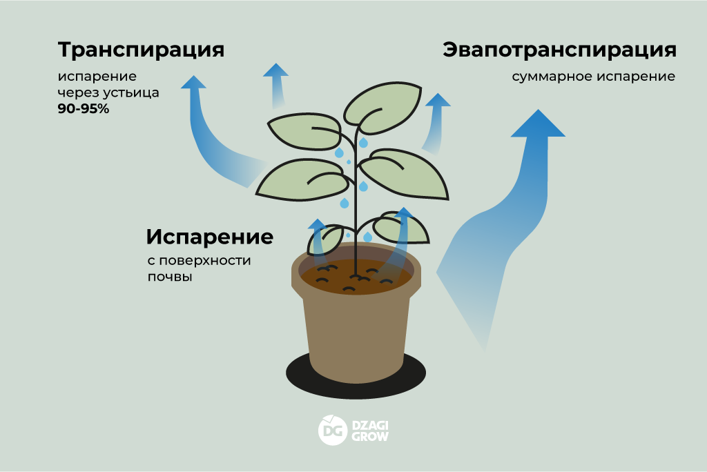 влажность_1.png