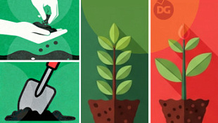 /blog/peresadka-rasteniy-mify-i-realnost-/