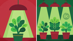 /blog/odna-lampa-ili-neskolko-chto-vybrat/