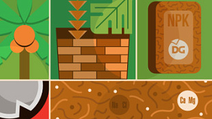 Испытали 8 популярных кокосовых субстратов — вот, что они скрывают