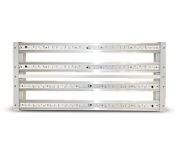 Big Cock Design Flasher 2 100-IRUVS Светильник