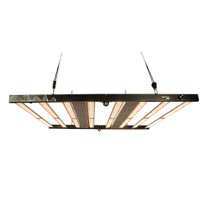 Nyota® XL 800 Вт Светодиодный светильник LED (Neutron)