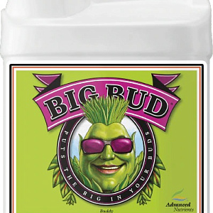 Advanced Nutrients Big Bud Liquid 5 л Добавка для цветения