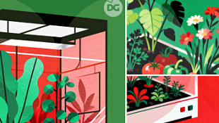 /blog/chto-mozhno-vyrashchivat-v-groubokse/