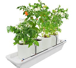 E-MODE® Практика 180 Система выращивания (капельный полив / Ebb&Flow), 70 л, 4+ растения