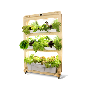 E-MODE Бионика Эко Автоматизированная стеллажная система (NFT/Ebb&Flow)