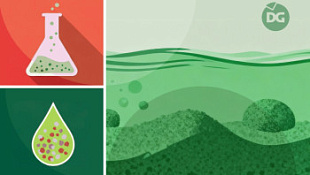 /blog/osadok-v-zhidkikh-udobreniyakh/