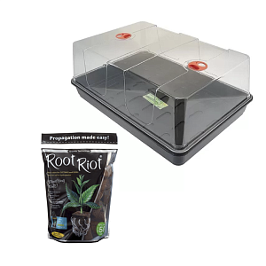 Garland XL High Dome теплица + Кубик для сеянцев Root Riot (50 шт)