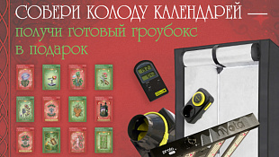 Собери колоду календарей — получи гроубокс!