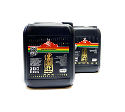 Rastea Coco A+B 5 л Удобрение органоминеральное для кокосового субстрата