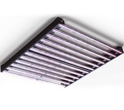 Big Cock Design Flasher 2 600-BS Светильник