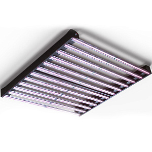 Big Cock Design® Flasher 2 600-BS Светильник