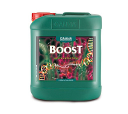 CANNABOOST Accelerator 5 л Стимулятор цветения