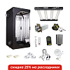 Pro Box BASIC 80 & Lucius® Black Label 240 Вт