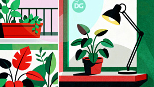 /blog/kak-obustroit-na-balkone-tsvetochnuyu-oranzhereyu/