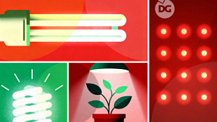 /blog/kak-vybrat-lampu-dlya-vyrashchivaniya-rasteniy/