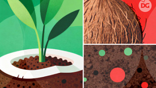 /blog/kokosovyy-substrat-osobennosti-i-nyuansy-ispolzovaniya/