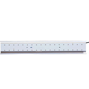 Big Cock Design® Add Light red 60w Светильник