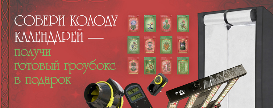 Собери колоду календарей — получи гроубокс!