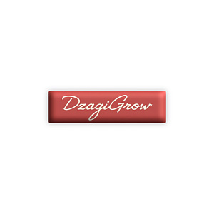 Стикер 3D «DzagiGrow» 55*25
