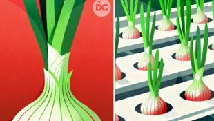 /blog/vyrashchivanie-luka-na-gidroponike-v-domashnikh-usloviyakh/