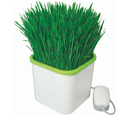 Здоровья клад АэроСАД Гидропонная мини-система