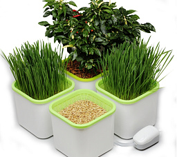 Здоровья клад АэроСАД Гидропонная мини-система (4-х модульная)