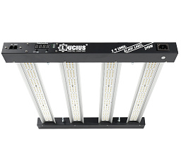 Lucius® Black Label Светодиодный светильник 240 Вт